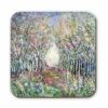 Forest-of-Dreams-coaster.jpg Forest of Dreams coaster