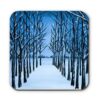 Snow-Clad-Trees-Coaster.jpg Snow Clad Trees coaster