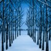 Snow-Trees-847x1024-1.jpg Snowclad Trees - Blank greetings card with envelope