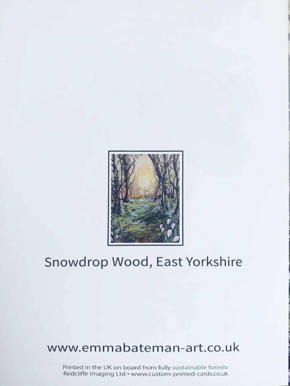 Blank Greetings Card, with envelope - "Snowdrop Walk"