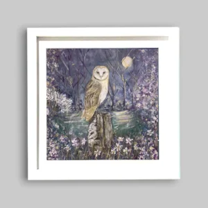 Midsummer Owl