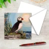 Bempton Puffin Greetings Card