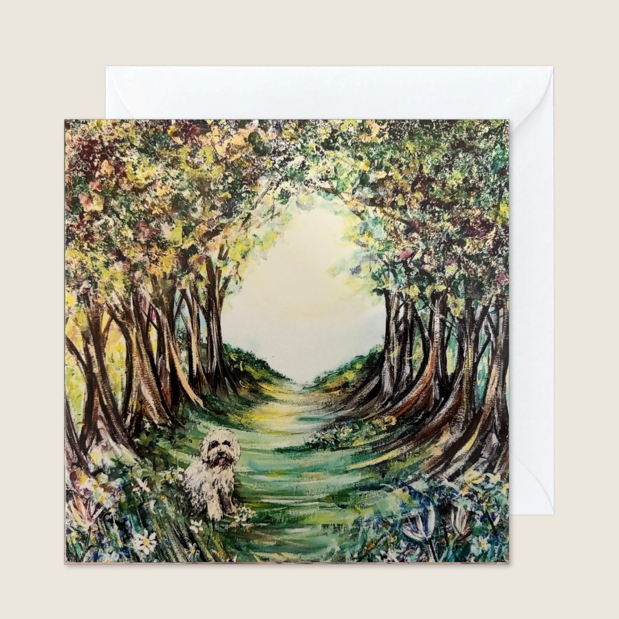 Walk in the Woods